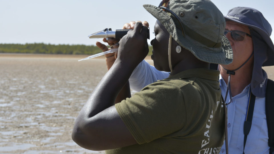 Restauration communautaire et écologique de la mangrove (CBEMR): rétablir un écosystème côtier plus riche en biodiversité et plus résilient avec la participation de la communauté