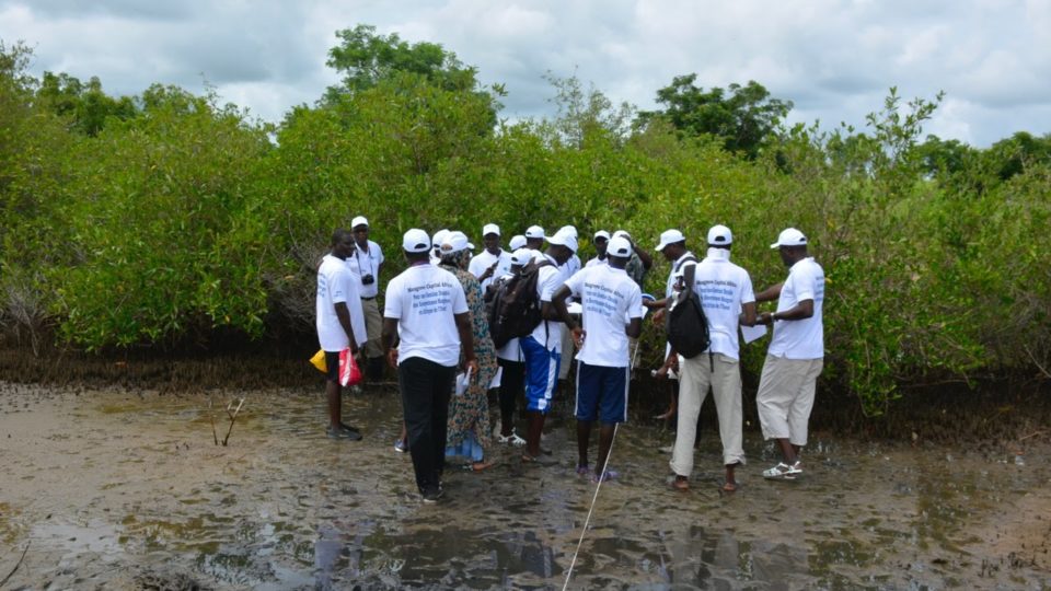 Cours régional mangrove